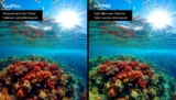 GoPro Rotfilter Vergleich » Beste Filter für perfekte Unterwasseraufnahmen